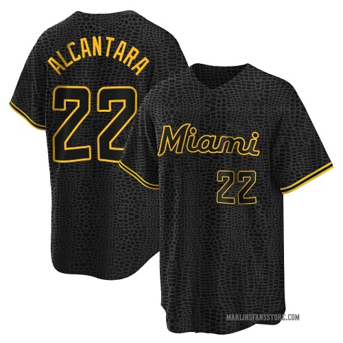 Sandy Alcantara Miami Marlins Men's Replica Snake Skin City Jersey - Black