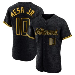 Victor Mesa Jr. Miami Marlins Men's Authentic Snake Skin City Jersey - Black