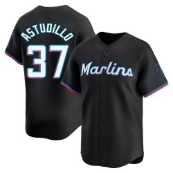 Willians Astudillo Miami Marlins Youth Limited Alternate Jersey - Black